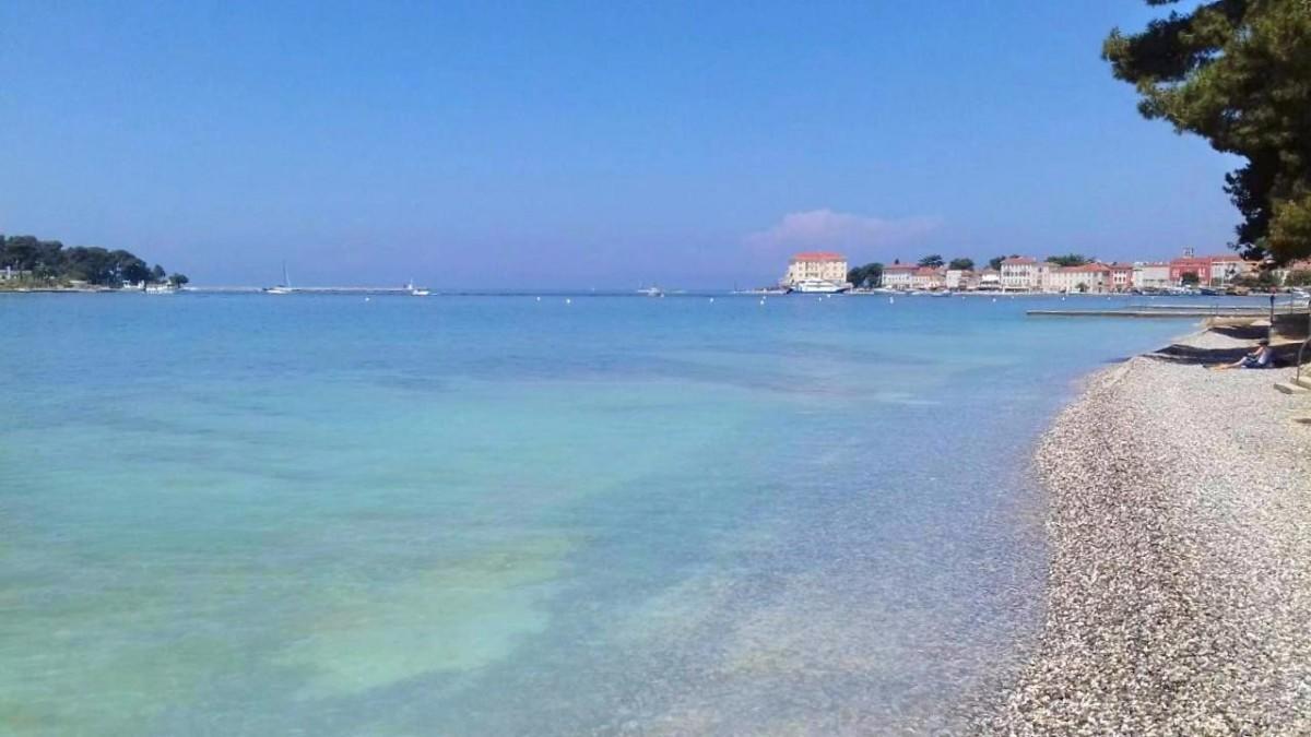 Apartament Pineta House Vidos Poreč Zewnętrze zdjęcie