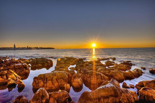 Apartament Pineta House Vidos Poreč Zewnętrze zdjęcie